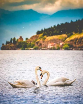 Apartments Stela Rosa Ohrid